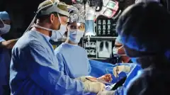 Анатомия страсти 7 сезон 2 серия