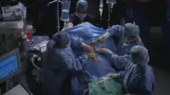 Анатомия страсти 6 сезон 12 серия